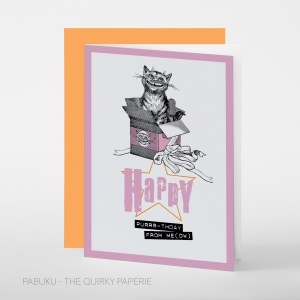 greeting card PABUKU S022 Birthday Cat Spotlight