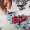PABUKU jigsaw puzzle detail