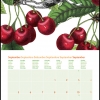 Wall Calendar small 2022